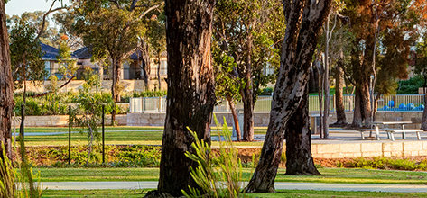 Taylor Burrell Barnett