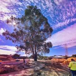 Allure Estate Construction Progress 3