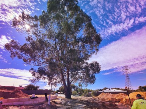 Allure Estate Construction Progress 3